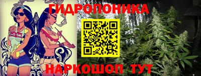 молекула духа Комсомольск-на-Амуре