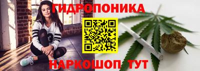 шишки Краснокаменск